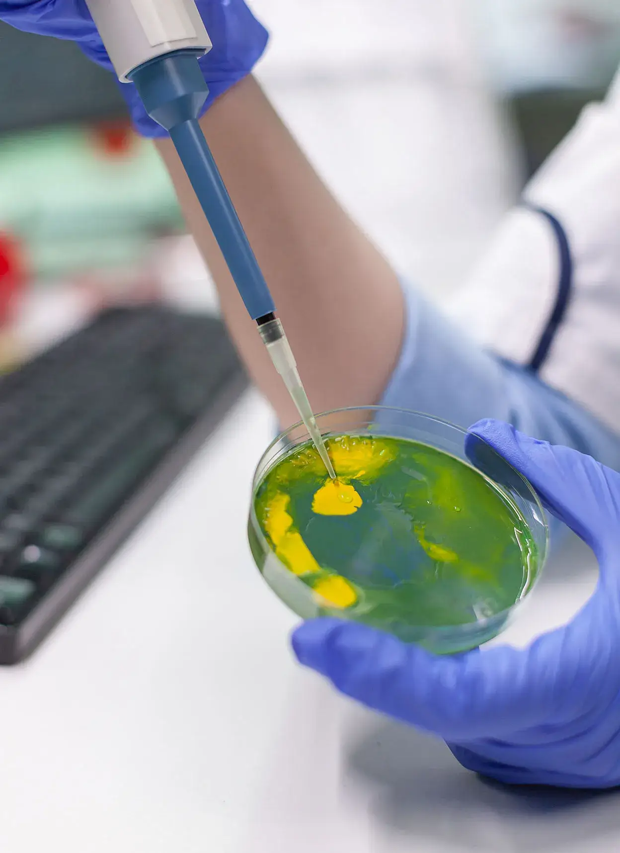 Ind&uacute;stria Farmac&ecirc;utica e Biofarmac&ecirc;utica
